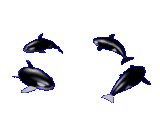 XX035143.gif