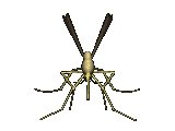 XX035122.gif