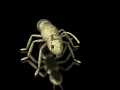 XX034916.gif