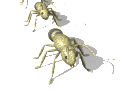 XX034912.gif