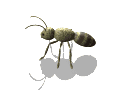XX034909.gif