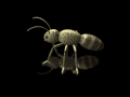 XX034908.gif