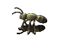 XX034907.gif