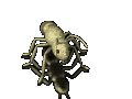 XX034906.gif