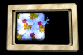 XX048562.gif