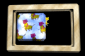 XX048554.gif