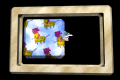 XX048543.gif