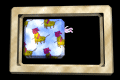 XX048518.gif