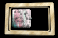 XX048449.gif