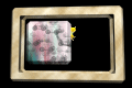 XX048443.gif
