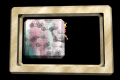 XX048441.gif