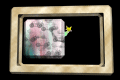 XX048440.gif