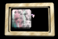 XX048439.gif