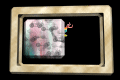 XX048431.gif