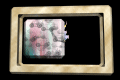 XX048423.gif