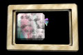 XX048421.gif