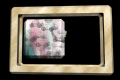 XX048412.gif
