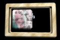 XX048409.gif
