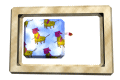 XX049049.gif
