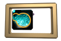 XX050063.gif