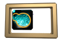 XX050044.gif