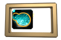 XX050033.gif