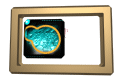 XX050031.gif