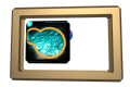 XX050014.gif