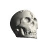 xag03945.gif