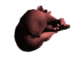 xag03822.gif