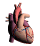 xag03819.gif