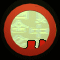 XX050708.gif