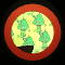 XX050617.gif