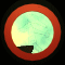 XX050506.gif