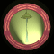 XX051737.gif