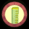 XX051703.gif