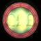 XX051570.gif