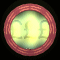 XX051569.gif