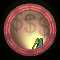 XX051371.gif