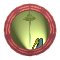 XX052238.gif
