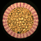 XX052617.gif