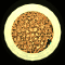 XX052609.gif