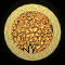 XX052604.gif