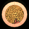 XX052600.gif