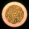 XX052599.gif