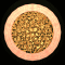 XX052598.gif