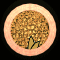 XX052597.gif