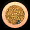 XX052596.gif