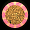 XX052593.gif