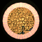 XX052588.gif
